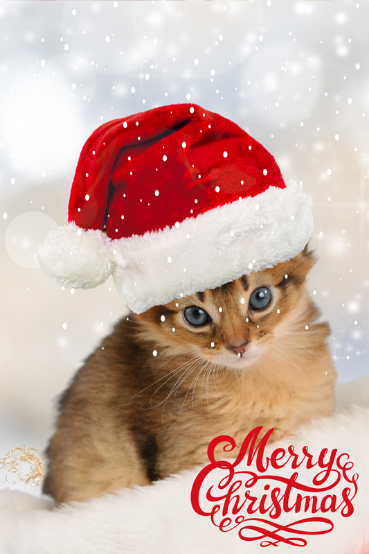 Christmas Kitten Garden Flag